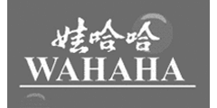 Logo - Hangzhou WaHaHa