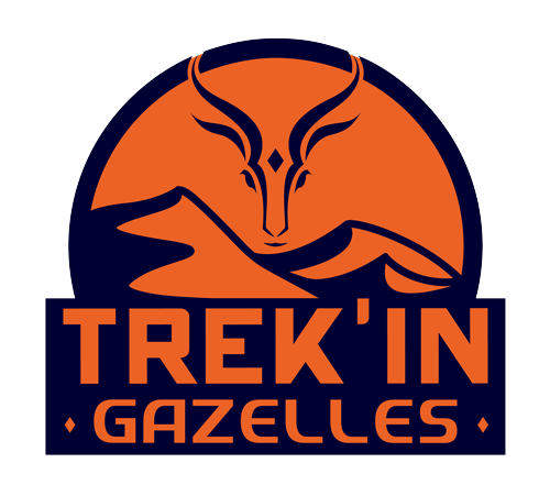 Trek'in Logo